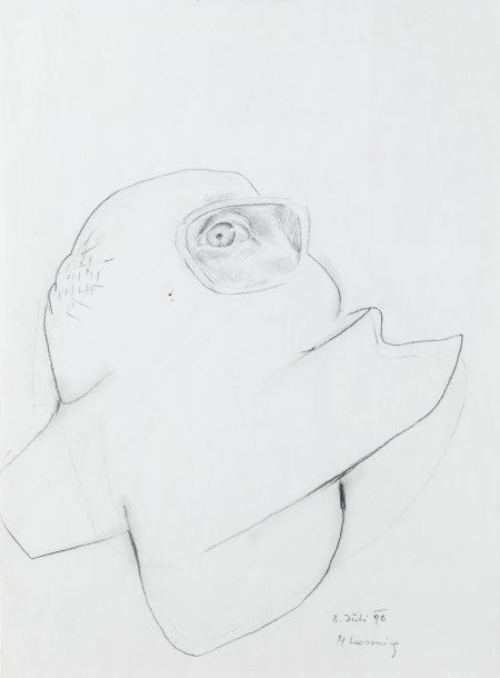 Maria Lassnig, Auge