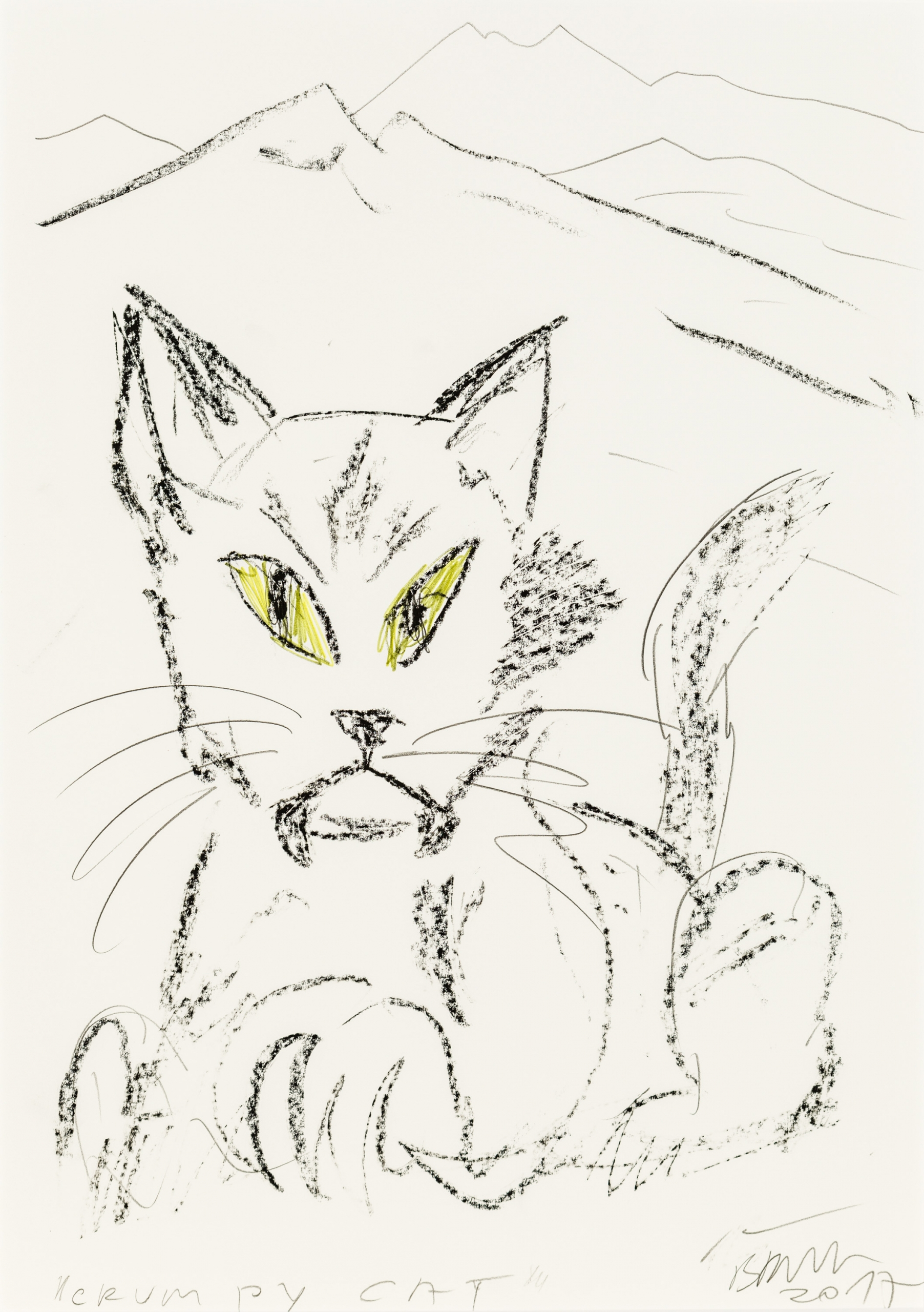 Herbert Brandl, Grumpy Cat