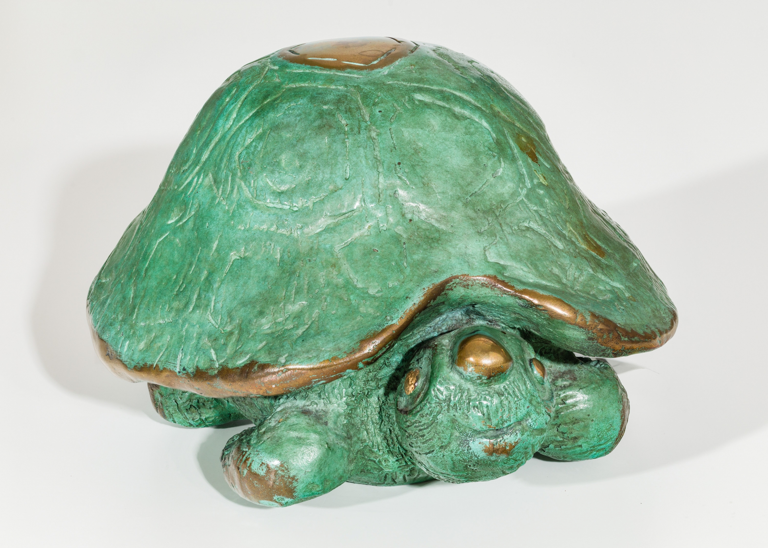 Gottfried Kumpf, Die Schildkröte Samson