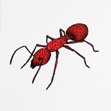 Peter Kogler, Ohne Titel (rote Ameise) / untitled (red ant)