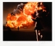 Gottfried Helnwein, The Disasters of War 60