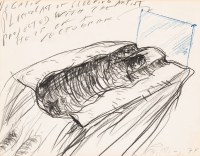 Alfons Schilling, Sleeping Artist