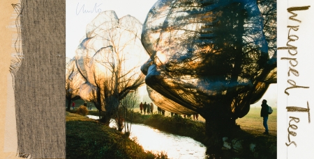 Christo (Christo Vladimirov und Jeanne-Claude Javacheff), Wrapped Trees