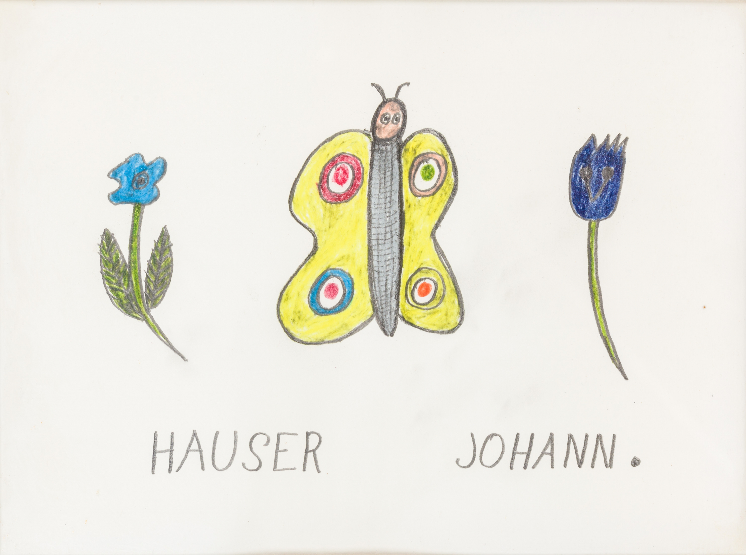 Johann Hauser, Schmetterling