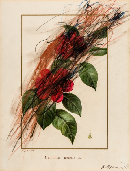 Arnulf Rainer, Camellia japonica (Blumenübermalung)